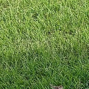 Meet your Posher, Joe joe